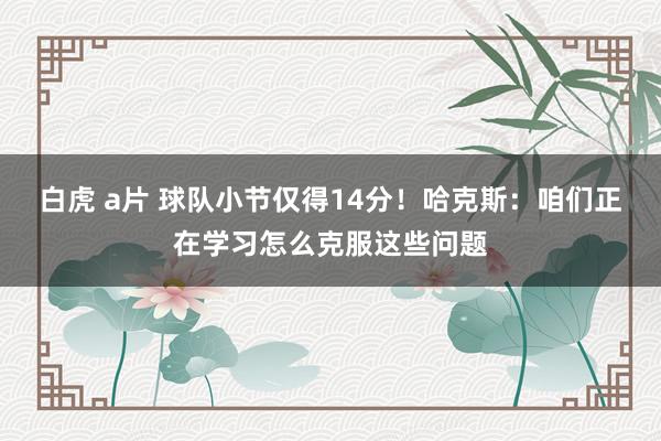白虎 a片 球队小节仅得14分！哈克斯：咱们正在学习怎么克服这些问题