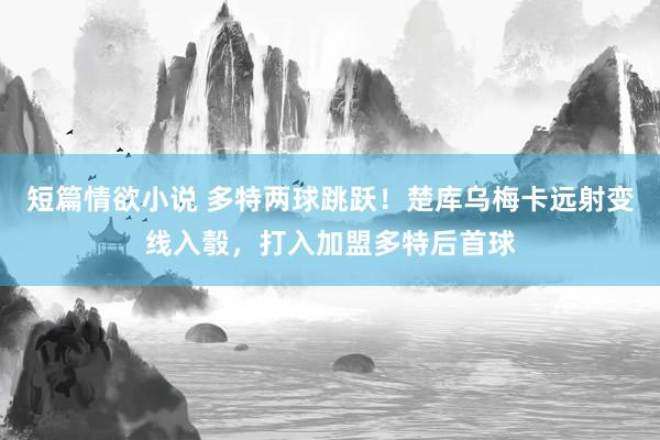 短篇情欲小说 多特两球跳跃！楚库乌梅卡远射变线入彀，打入加盟多特后首球